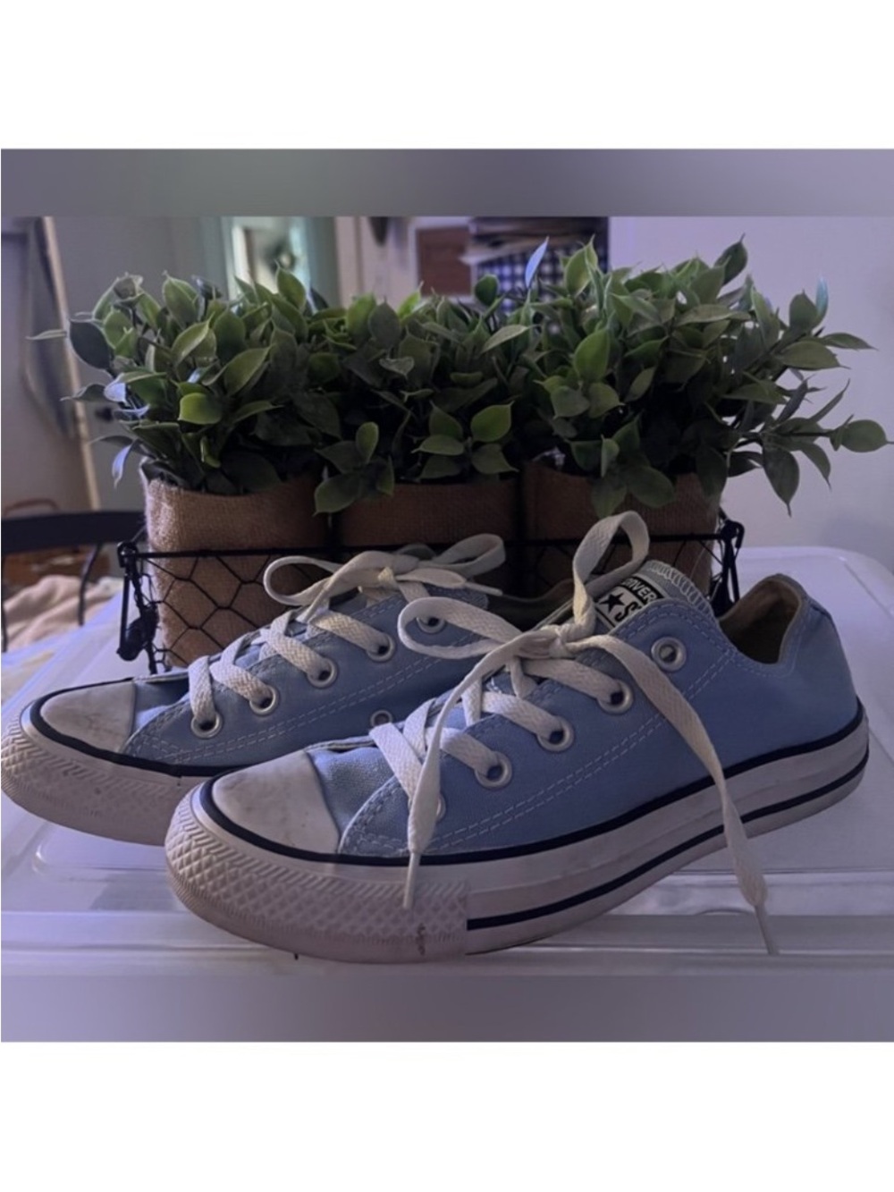 NWOB CLASSIC CHUCKS CONVERSE BEAUTIFUL BABY BLUE SNEAKERS🌺